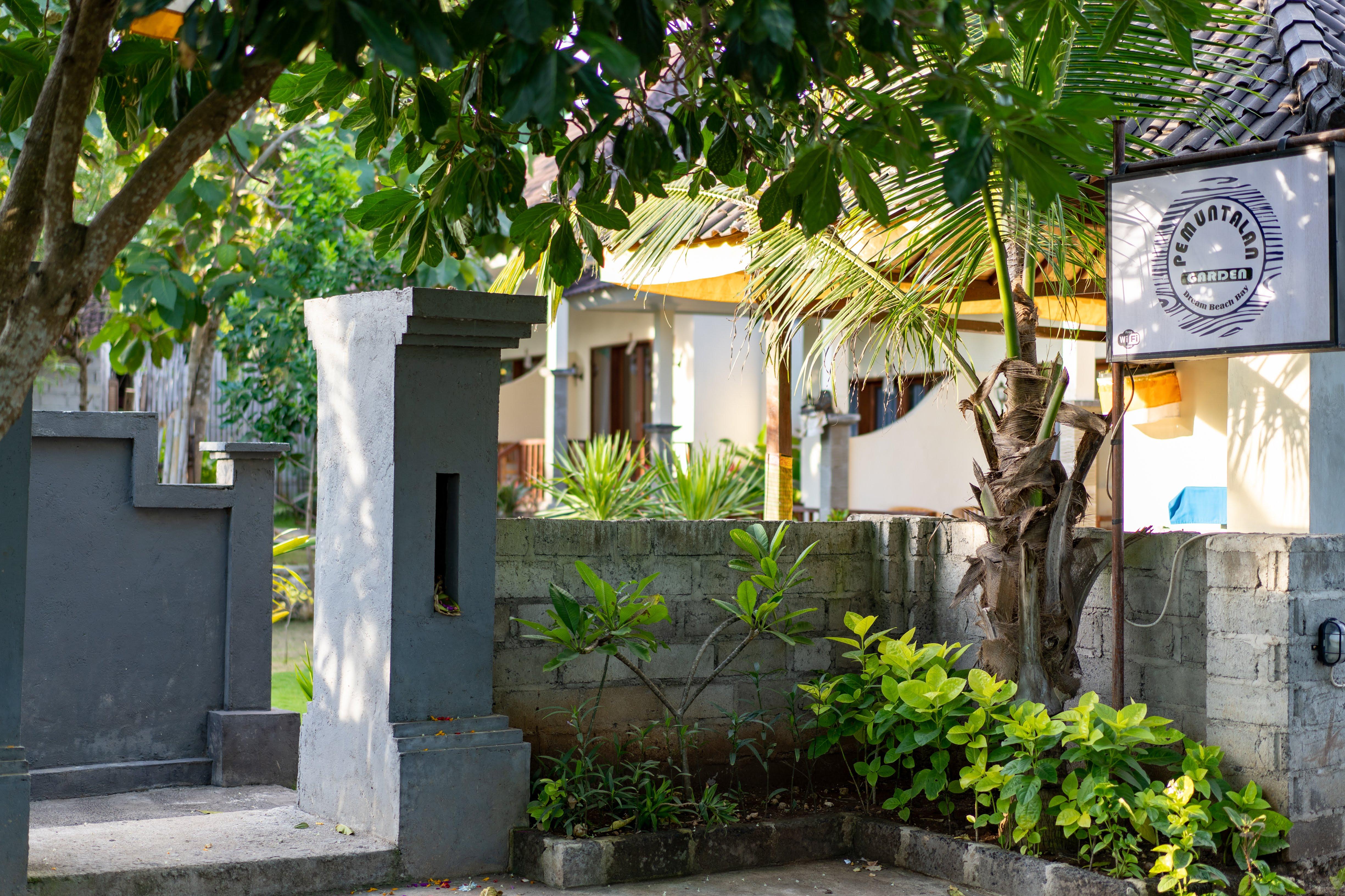 Pemuntalan Guesthouse レンボンガン島 エクステリア 写真